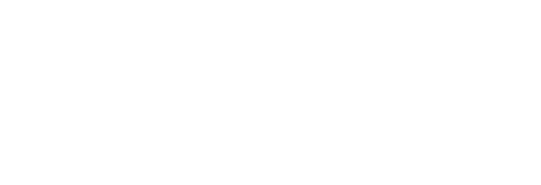 Shiraz Syed Real Estate
